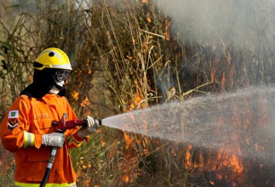 GDF decreta emergência ambiental para reforçar combate às queimadas